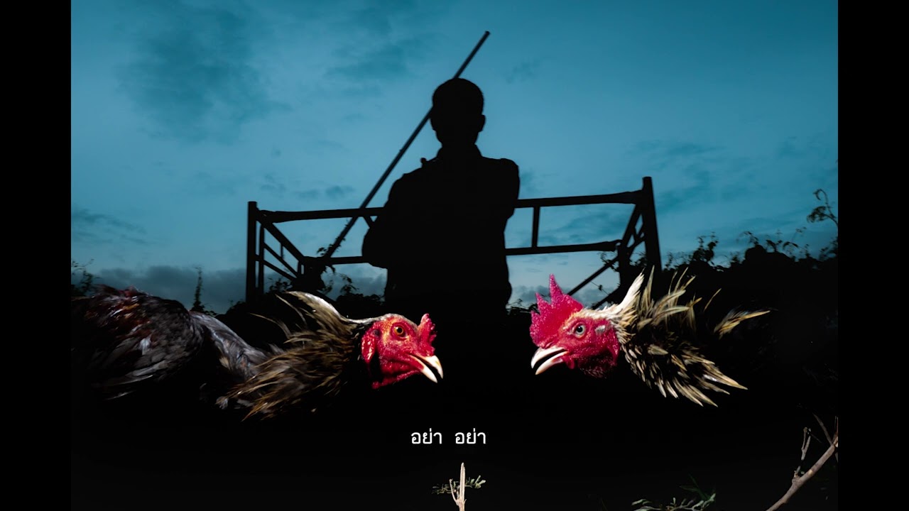 ไก่จิกเด็กตาย - TangBadVoice (Official Visualizer)