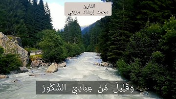 تلاوة جميلة للشيخ محمد إرشاد مربعي