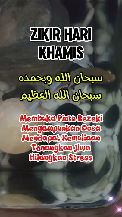 ZIKIR HARI KHAMIS #doapagi #zikirharian #zikir #zikirpagi #khamis #doa