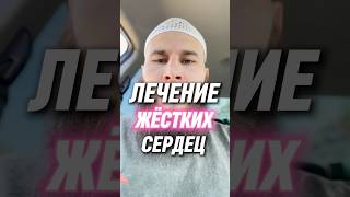 Лечение Жестких Сердец #коран #сунна #ислам
