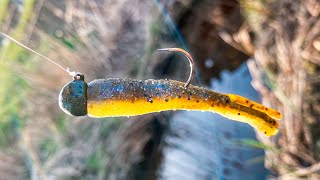 How to Fish Ned Rigs for Big Smallmouth Bass
