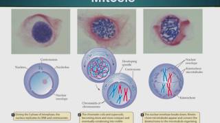 BIO734_Topic031