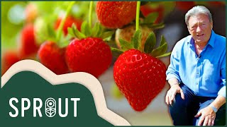 The Best Tips For Summer Gardening | Grow Your Own at Home With Alan Titchmarsh | Sprout