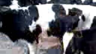 07 06 10 0933