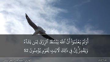 الصفحة 464 سورة الزمر بصوت القارئ المهندس أحمد فايز الحراسيس