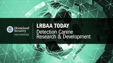 LRBAA Today: Detection Canine Research & Development