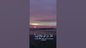 تلاوة من سورة الصف للقارئ أحمد خضر تلاوة هادئة ❤️ تريح القلب ❤️