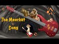 Meerkat Quiz