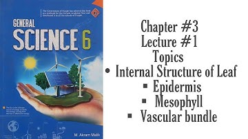 Class 6| Chapter #3| Lecture #1| Photosynthesis and Respiration in Plants