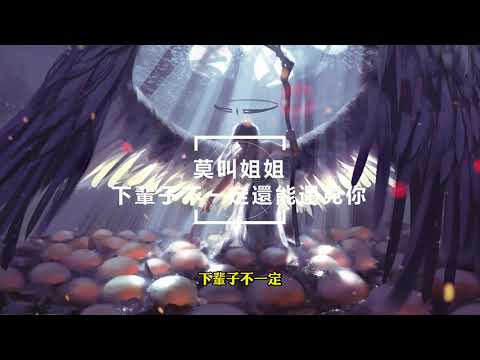 莫叫姐姐-下輩子不一定還能遇見你 『下輩子不一定 還能遇見你，所以我抱緊你 不敢放棄。』【高音質|高畫質|動態歌詞】❤❤❤