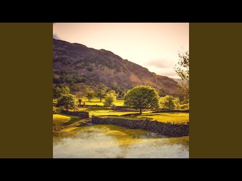 أنين القلب إلى الله 