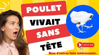 Un poulet n'avait pas de tête mais a quand même survécu plusieurs jours - Rencontrez Mike