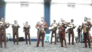 Video thumbnail of "Mariachi Serenata Mexicana El Gavilan"