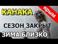 🍂КРЫМ СЕНТЯБРЬ. КАНАКА. БАРХАТНЫЙ сезон закрыт!