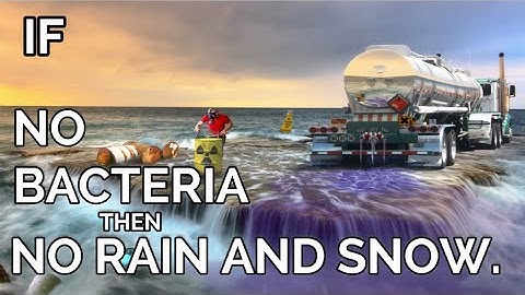 WHAT IF ALL BACTERIA DISAPPEARED FROM EARTH? | WHAT IF WE LOST ALL MICROBES | D BRIGHT ZONE