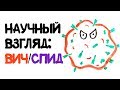 Научный взгляд: ВИЧ/СПИД [AsapSCIENCE]