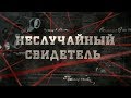 Неслучайный свидетель  | Вещдок