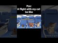 A flight with my cat be like #Catmeme #Funny #Shorts