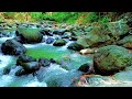 Flowing River Sounds 🌊 Relaxing Nature Audio for Sleep and Focus