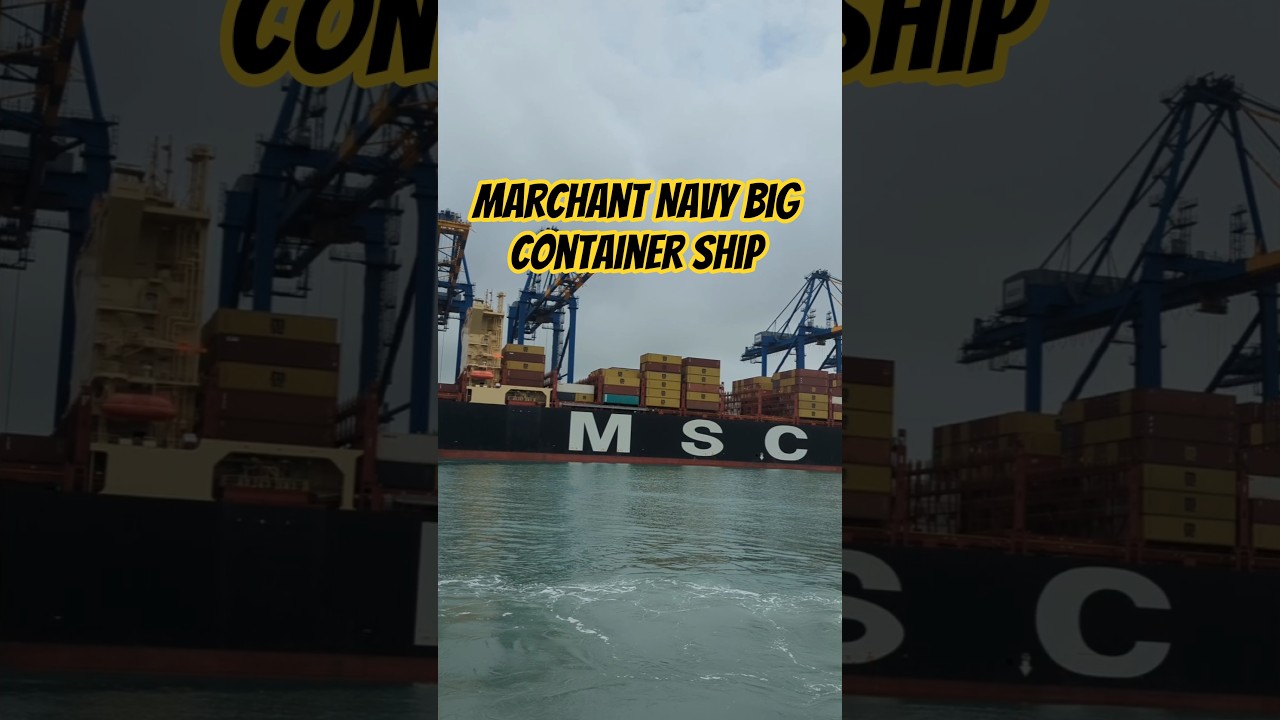 marchant Navy big container ship 