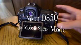 Nikon D850 Silent Live View Photography
