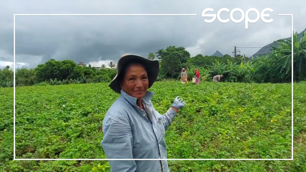 La Laura-Malenga : Un havre de paix au pied de la montagne