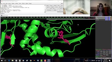 Pymol for Beginners - video 2: labels