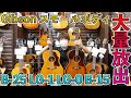 全てビンテージ！Gibsonスモールボディモデルが大量に集まりました！！