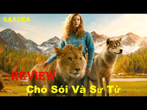 Video: Cứu chó sói