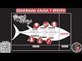 Como hacer un "DIAGRAMA DE CAUSA Y EFECTO - DIAGRAMA ISHIKAWA -DIAGRAMA DE ESPINA" Temp 5 Ep 14