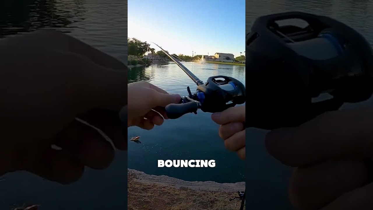 I Can't Stop Catching These 🎣