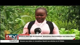 Wakulima wa Muranga' wasema mashamba hayana maji