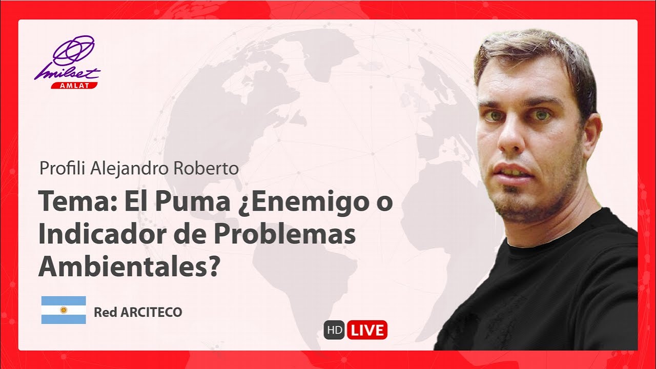 oleada Oferta Negociar Conferencia | El Puma ¿Enemigo o Indicador de Problemas Ambientales? -  YouTube