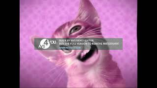 Respondview 2 Numa Cat 2022 V2