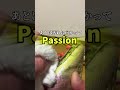 ペットボトルキャップでサッカースパイクのゴムチップが落ちます サッカースパイク 手入れ ゴムチップ マーキュリアル ペットボトルキャップでサッカースパイクのゴムチップが落ちます サッカースパイク 手入れ ゴムチップ マーキュリアル