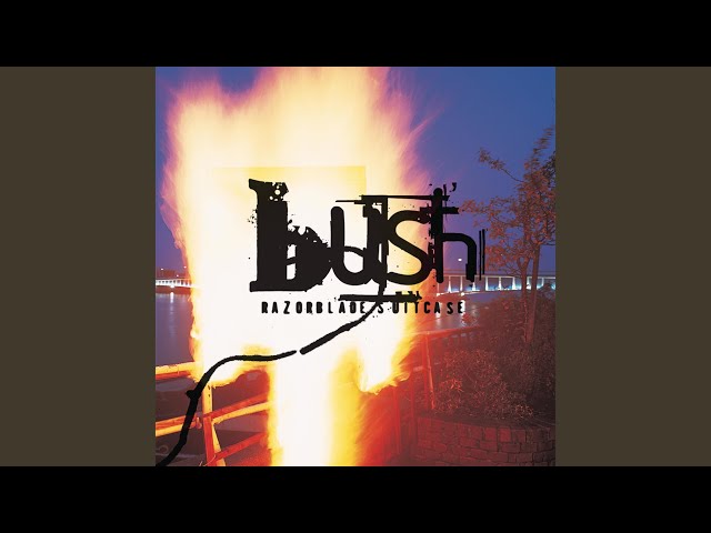 Bush - Bone Driven