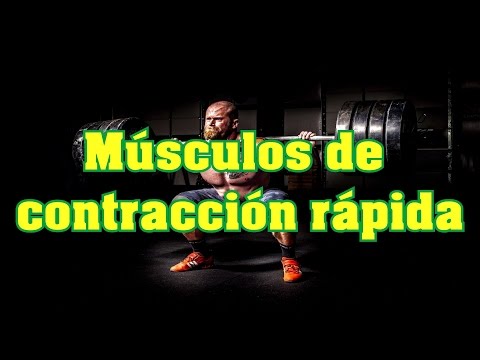Vídeo: Músculos De Contracción Rápida: Acerca De, Beneficios, Ejercicios, Vs. Contracción Lenta