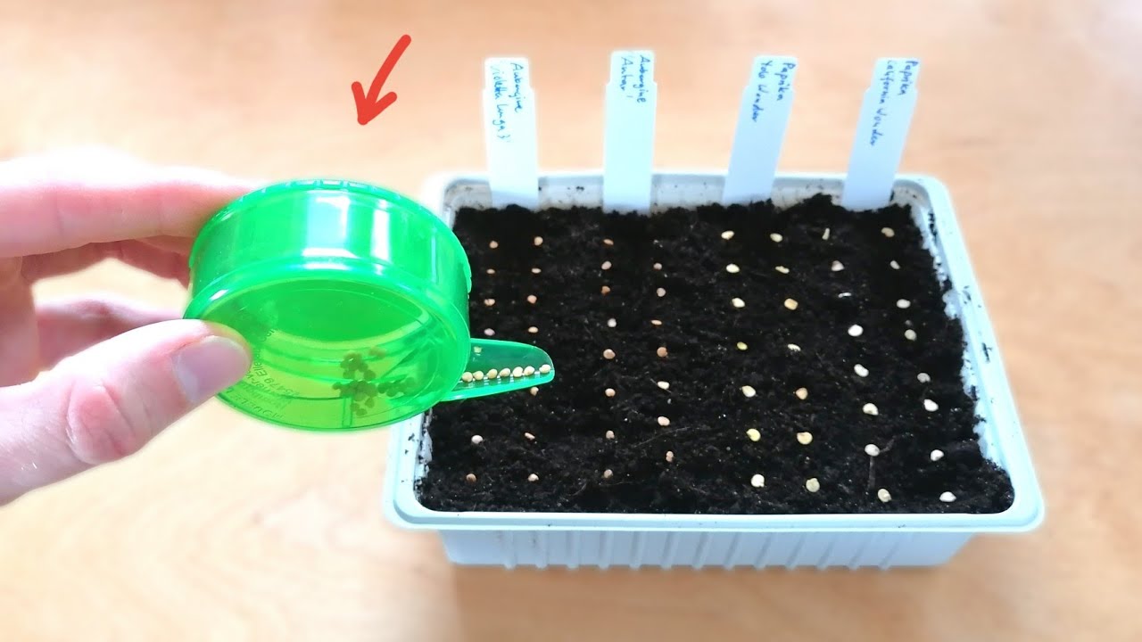 wie man JEDES Saatgut (selbst Feines) kinderleicht aussäen kann!