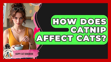 How Does Catnip Affect Cats? - Happy Cat Handbook