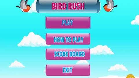 Final video|OOP Project|Bird Rush