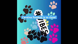 @CarolinaPanthers Football is