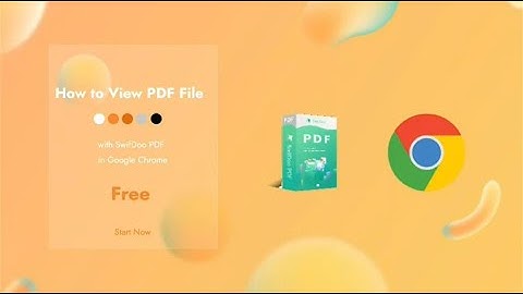 How to View PDF File in Simple Ways - Easy Steps to Follow