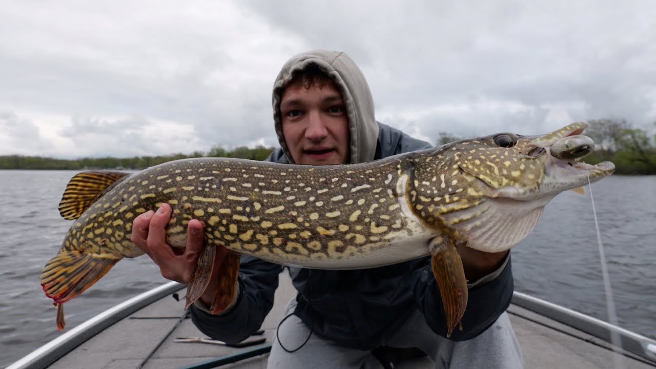 Catching 2 GIANT pike on an 8 inch GlideBait! - YouTube