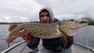 Catching 2 GIANT pike on an 8 inch GlideBait!