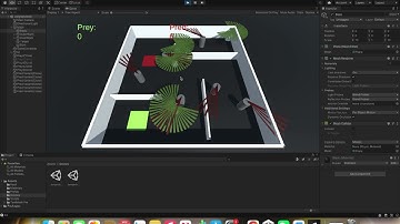 Predator-Prey Project