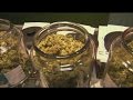 Recreational Marijuana legalized in Massachusetts