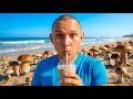 Einen Magischen Smoothie Am Mushroom Beach Trinken Einen Magischen Smoothie Am Mushroom Beach Trinken