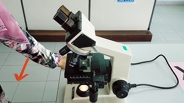Experiment 1: Basic Techniques in Microscope (How to use microscope)