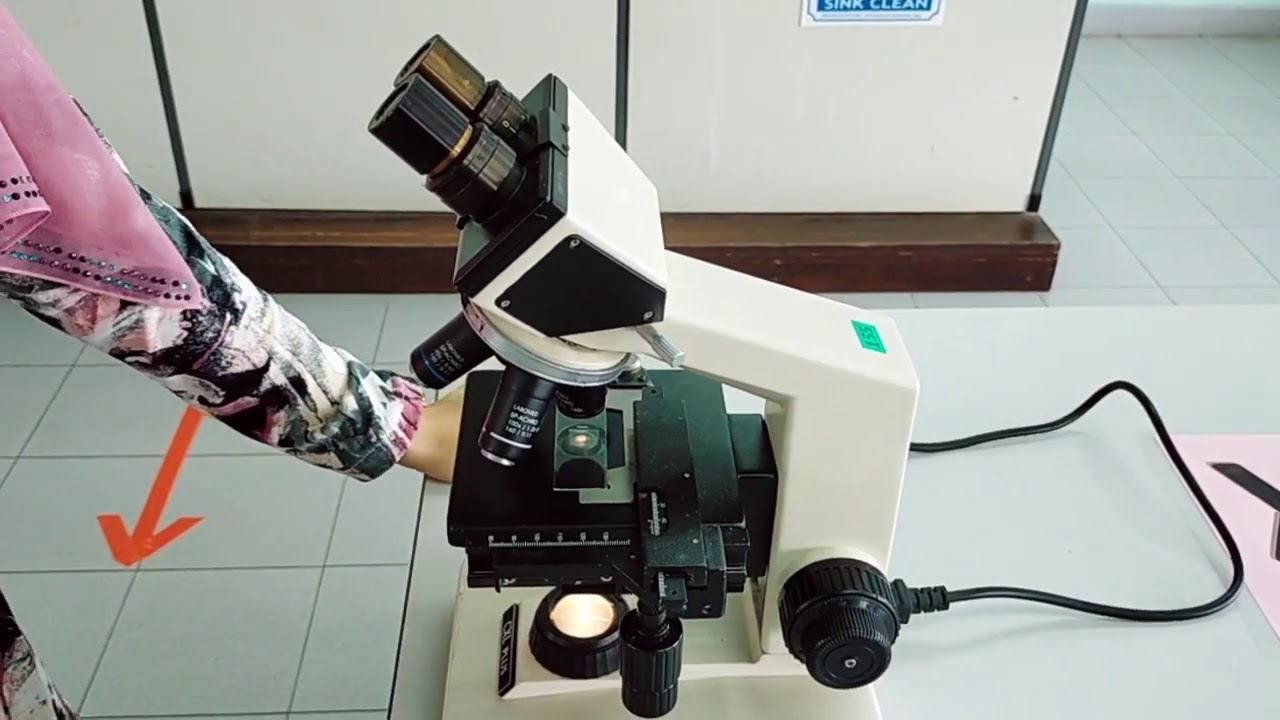 Experiment 1: Basic Techniques in Microscope (How to use microscope ...