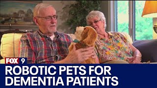 Robotic pets used to help dementia patients I KMSP FOX 9 screenshot 5